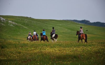 Vučje dobitnik priznanja Good Travel Seal – Checked Level 1